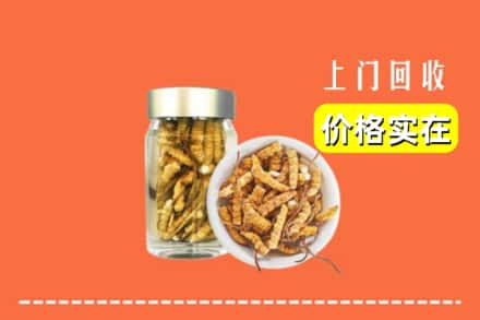 商洛商南县回收散虫草