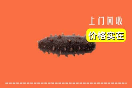 商洛商南县回收海参