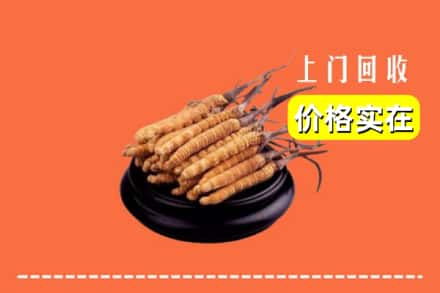 商洛商南县回收冬虫夏草